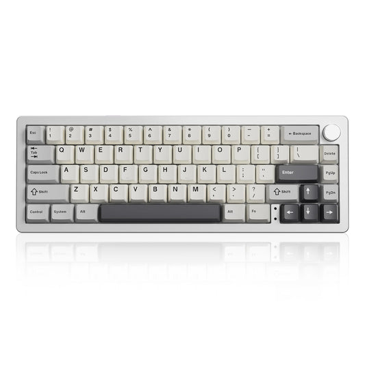 YUNZII AL66 Wireless Mechanical Keyboard 65% Knob Control Aluminum Gaming Keyboard BT/2.4G/Wired Hot Swappable Pre-lubed Switches  Gasket Mounted RGB Keyboard for Win/Mac(Milk Switch  Silver)