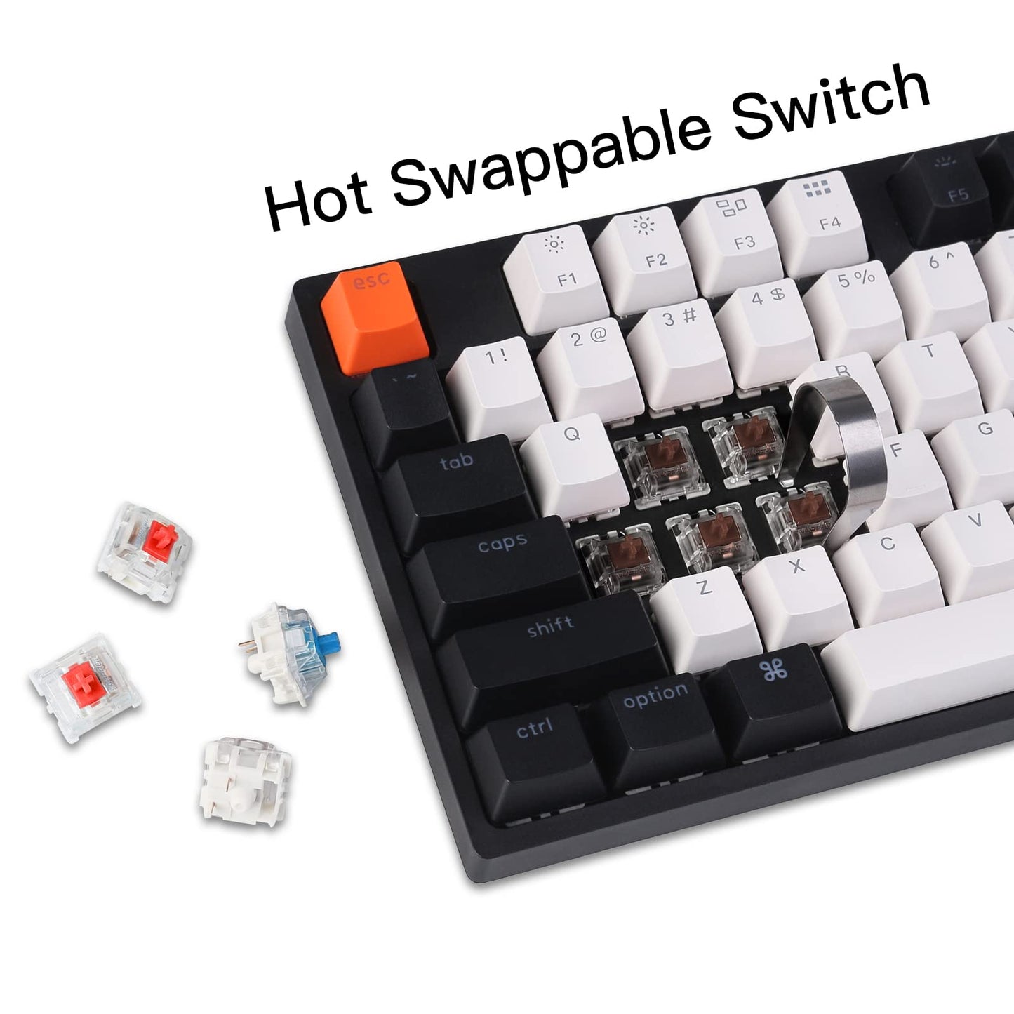Keychron C2 Wired Mechanical Keyboard, Hot-swappable Gateron G Pro Brown, RGB Backlight, 104 Keys, USB-C for Mac & Windows