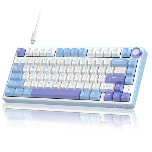 RK ROYAL KLUDGE R75 Mechanical Keyboard Wired with Volume Knob  75% Custom Gaming Keyboard Gasket Mount RGB Backlit with Software  Cherry Profile  Hot Swappable Silver Switch  PBT Keycaps