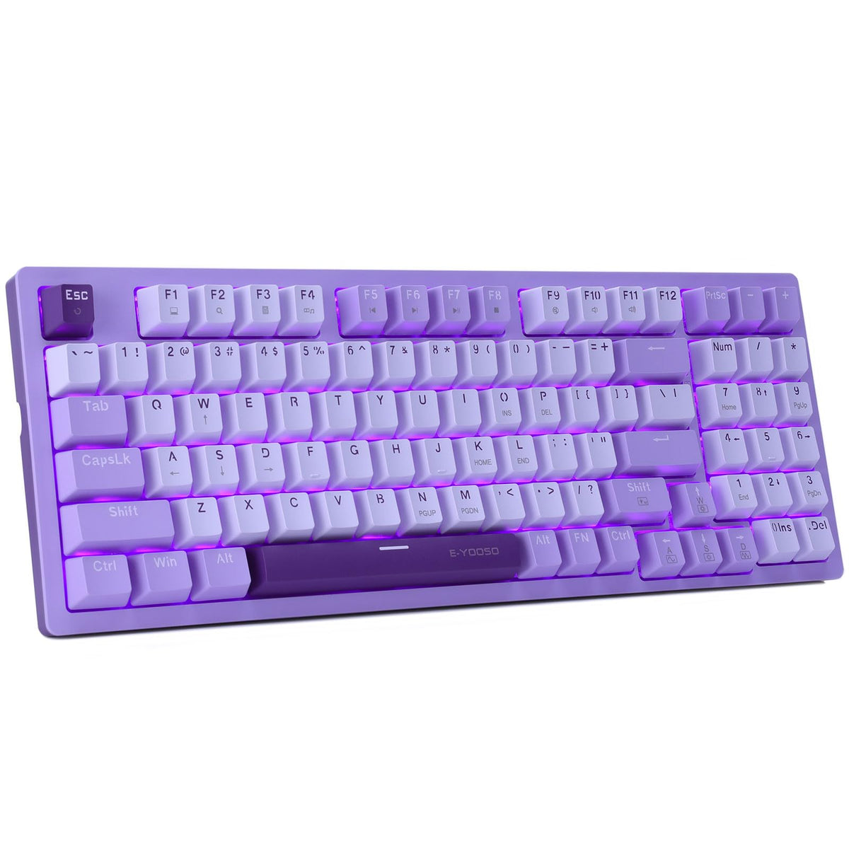 HUO JI Mechanical Gaming Keyboard USB Wired Compact with Number Pad  Purple Led Backlit  Blue Switch  Detachable Type C Cable  94 Keys for PC/Computer/Laptop  White and Purple