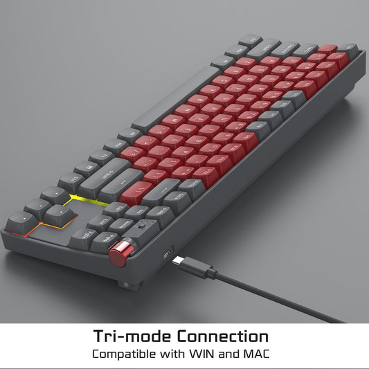 ROYALAXE R87 Wireless Mechanical Keyboard - Hot Swappable, RGB, 88 Keys, G Pro Yellow Switch, Whale Blue for Windows & Mac