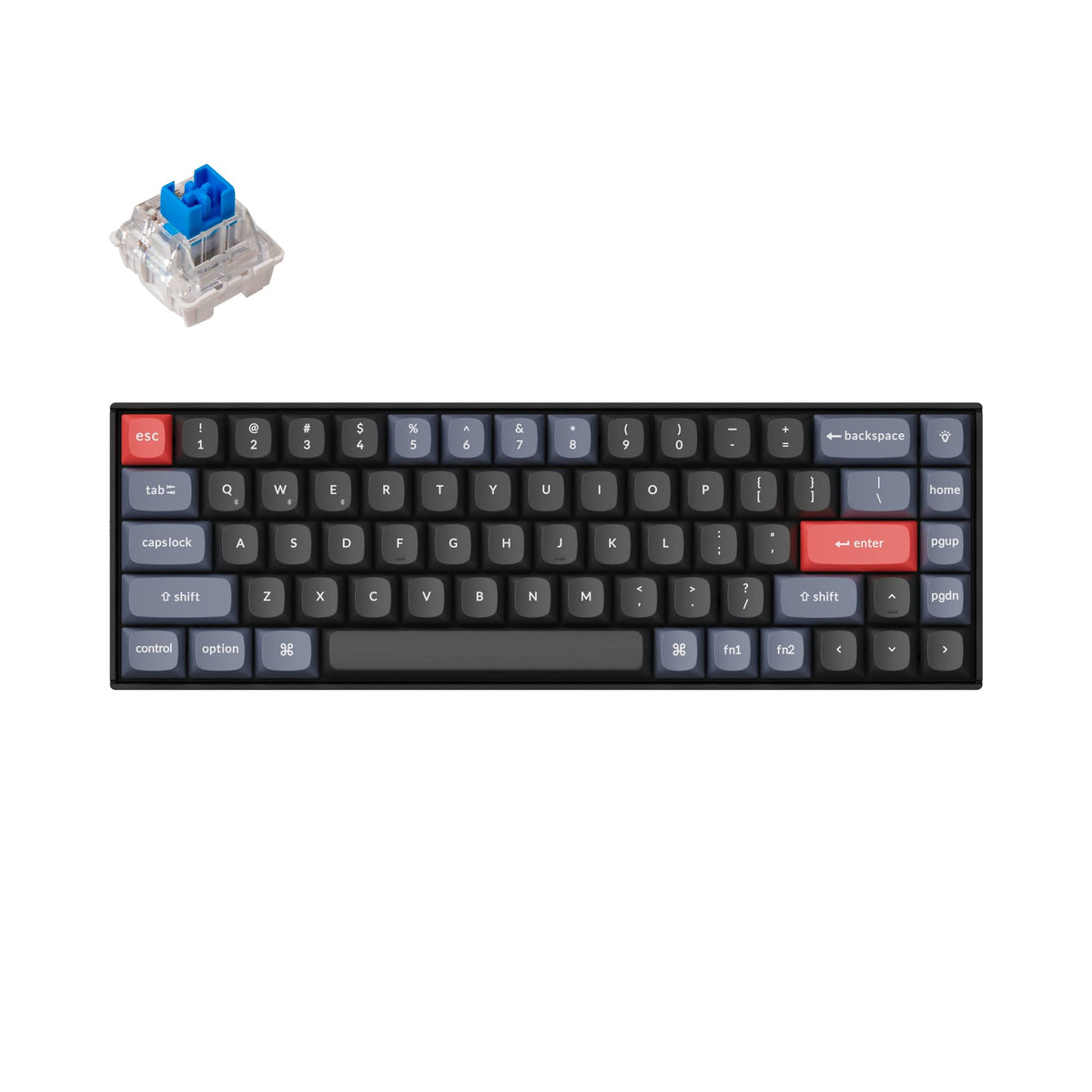 Keychron K6 Pro Wireless Custom Mechanical Keyboard  QMK/Launcher Programmable Macro  Hot-Swappable Keychron K Pro Blue Switch Keyboard  65% Layout RGB Backlit Office Keyboard for Mac Windows Linux