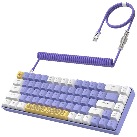 Yindiao T8 60% Mechanical Gaming Keyboard, 68 Keys TKL, Chroma RGB Backlit, Blue Switch, Purple, Wired for PC, Mac, PS4, Xbox
