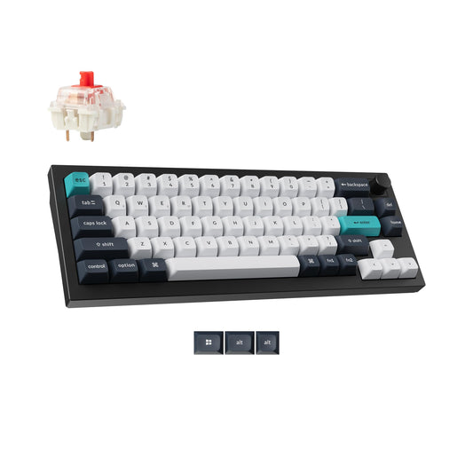 Keychron Q2 Max Wireless Custom Mechanical Gaming Keyboard  QMK/VIA Programmable Knob 2.4 GHz/Bluetooth 5.1/Wired  65% Compact RGB Hot-Swap with Gateron Red Switch for Mac Windows Linux - Black