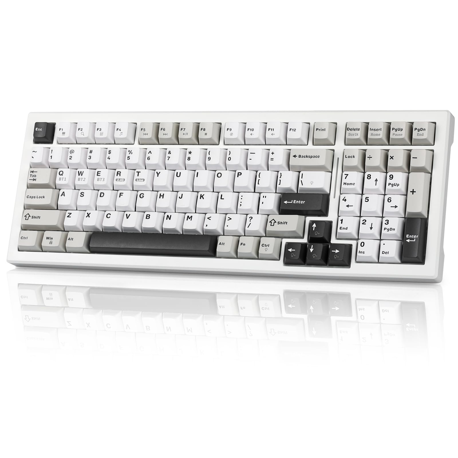 Gaozen Wireless Game Mechanical Keyboard BT5.0/2.4GHz/USB  Multi-Color LED with 18+ Modes  Hot-Swappable Custom Keyboard  Red Creamy Switches  Gaming Keyboard for PC/Mac (Black White)