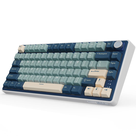 RK ROYAL KLUDGE R75 Wireless Mechanical Keyboard  75% Percent Custom Gaming Keyboard Gasket Mount RGB Backlit with Knob & PBT Keycaps  BT5.1/2.4GHz/USB-C  Hot Swappable Cream Switch