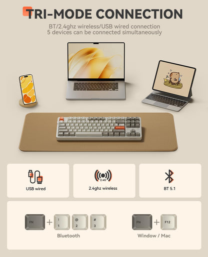 DAREU EK87PRO Wireless Mechanical Gaming Keyboard, TKL RGB, Hot-Swappable, Retro Beige, HIFI Dream Switch, Model EK87 PRO-BG-D