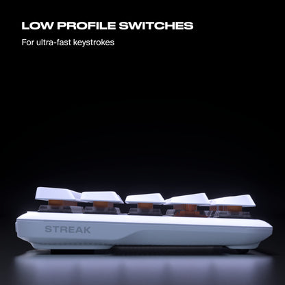 Fnatic STREAK65 LP White Gaming Keyboard | Compact 65% Layout | RGB Speed Switches | PBT Doubleshot Keycaps | US ANSI Layout