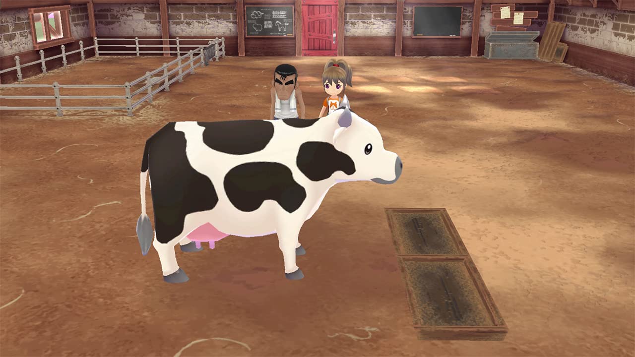 Xseed Games Story of Seasons: A Wonderful Life - Xbox Series X, Model 82392