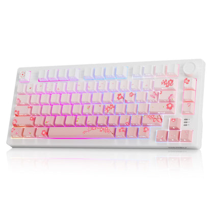 DAREU EK75PRO Wireless Mechanical Keyboard - Sakura Pink, 75% Hot Swap, RGB Backlit, Gasket Structure, Cloud Switch, USB-C, for Win/MAC