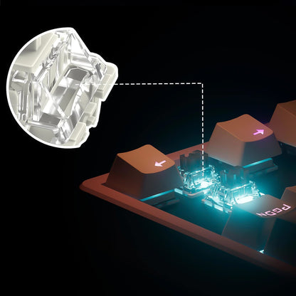 DRAOZA Gateron Pro 2.0 Switch - 36pcs Prelubricated RGB Yellow Red Brown - White 2.0 Compatible with MX Mechanical Keyboards