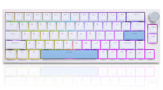 BOYI 66Pro Rapid control button Magnetic Switch 65% Mechanical Keyboard Hall Effect Gasket-Mounted RGB HotSwap Hyper-Fast Adjustable Actuation Wired Compact Gaming Keyboard with Knob(White)