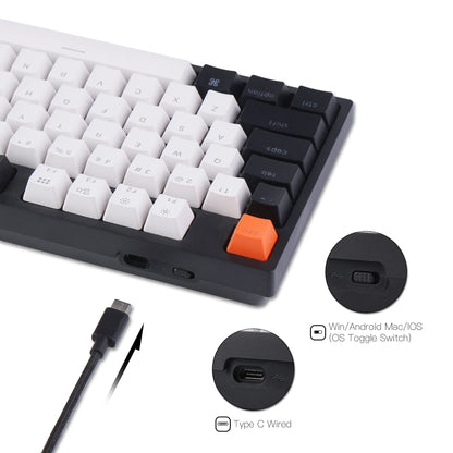 Keychron C1 Wired Mechanical Keyboard, Gateron G Pro Brown Switch, Tenkeyless 87 Keys, White Backlight, USB Type-C