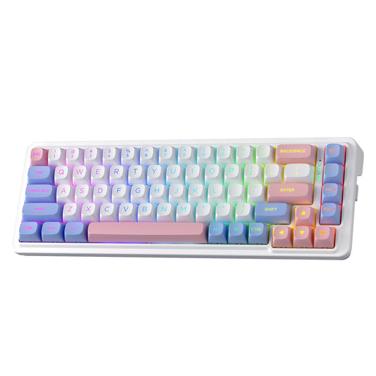 Redragon K709 PRO 65% Wireless Gasket RGB Gaming Keyboard  68 Keys Hot-Swap Compact Mechanical Keyboard w/Free-Mod Socket  5-Layer Noise Dampening & Round PBT Keycaps  Quiet Custom Linear Switch