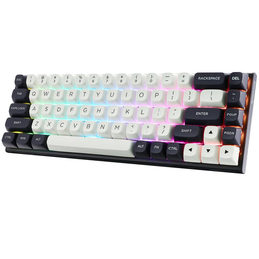 Redragon K701 Rapid Trigger Mechanical Gaming Keyboard  60% Wired with Adjustable Actuation  Magnetic Switch  8k Hz Polling Rate  RGB Backlit  68 Keys Mini for PC Gamer  White/Blue-Black