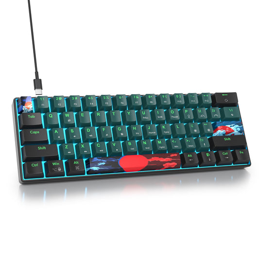 Ussixchare 60 Percent Gaming Keyboard 60% Mechanical Keyboard LED Backlit Ultra Compact Wired Keyboard with Red Switch for Windows Laptop Gamer(61 Sound Wave)