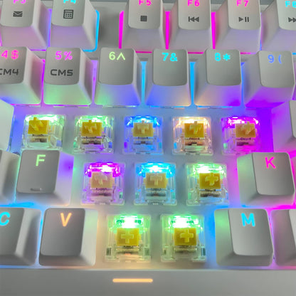 kutethy Gateron G Yellow Pro Switches, Pre-lubed 3pin RGB SMD Linear, 72 PCS, Yellow for Gaming Mechanical Keyboards