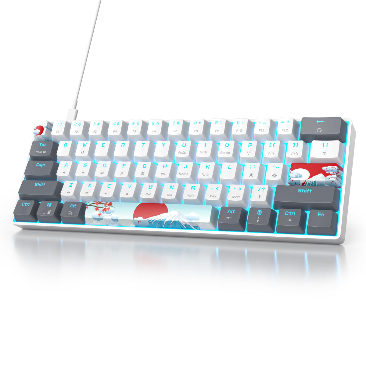 Owpkeenthy RGB Mechanical Keyboard 60 Percent Red Switches  Ultra-Compact Mini Wired Gaming Keybaord with Backlit PBT Dye-Sub Keycaps for Win/Mac/PC (White/Red Switch)