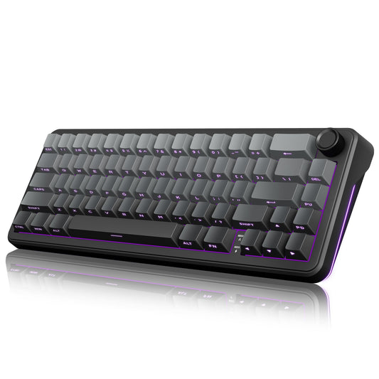 RedThunder K65 Wireless Mechanical Gaming Keyboard - Gasket Hot-Swap, RGB Backlit, Pre-lubed Switches, Gradient Gray