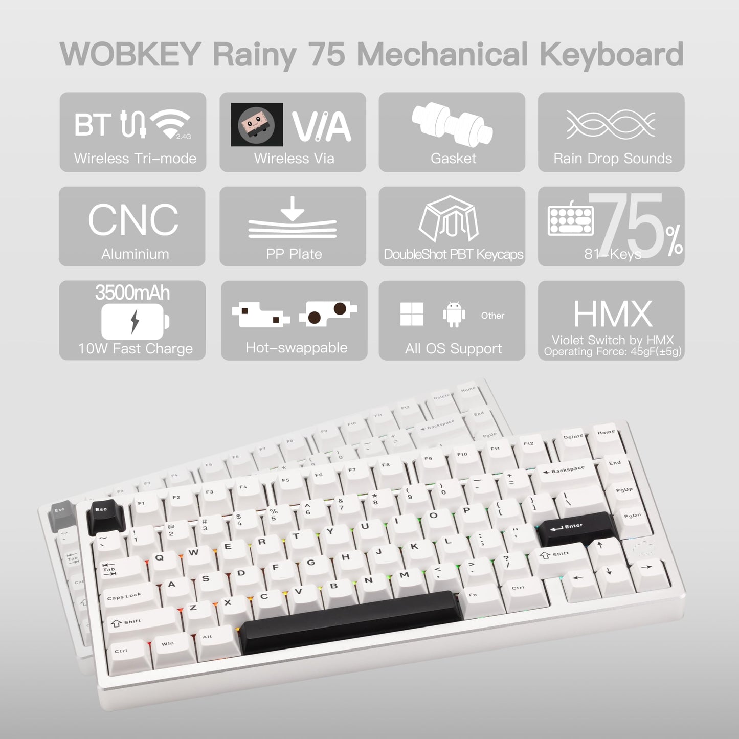 KEEBMONKEY WOBKEY 75% Mechanical Keyboard - Triple-Mode Connectivity, RGB, Violet Switch, Silver, Standard Model