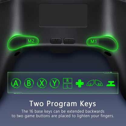 AceGamer Wireless Controller for Nintendo Switch & Windows, Hall Effect Joystick, Turbo & Vibration, Black