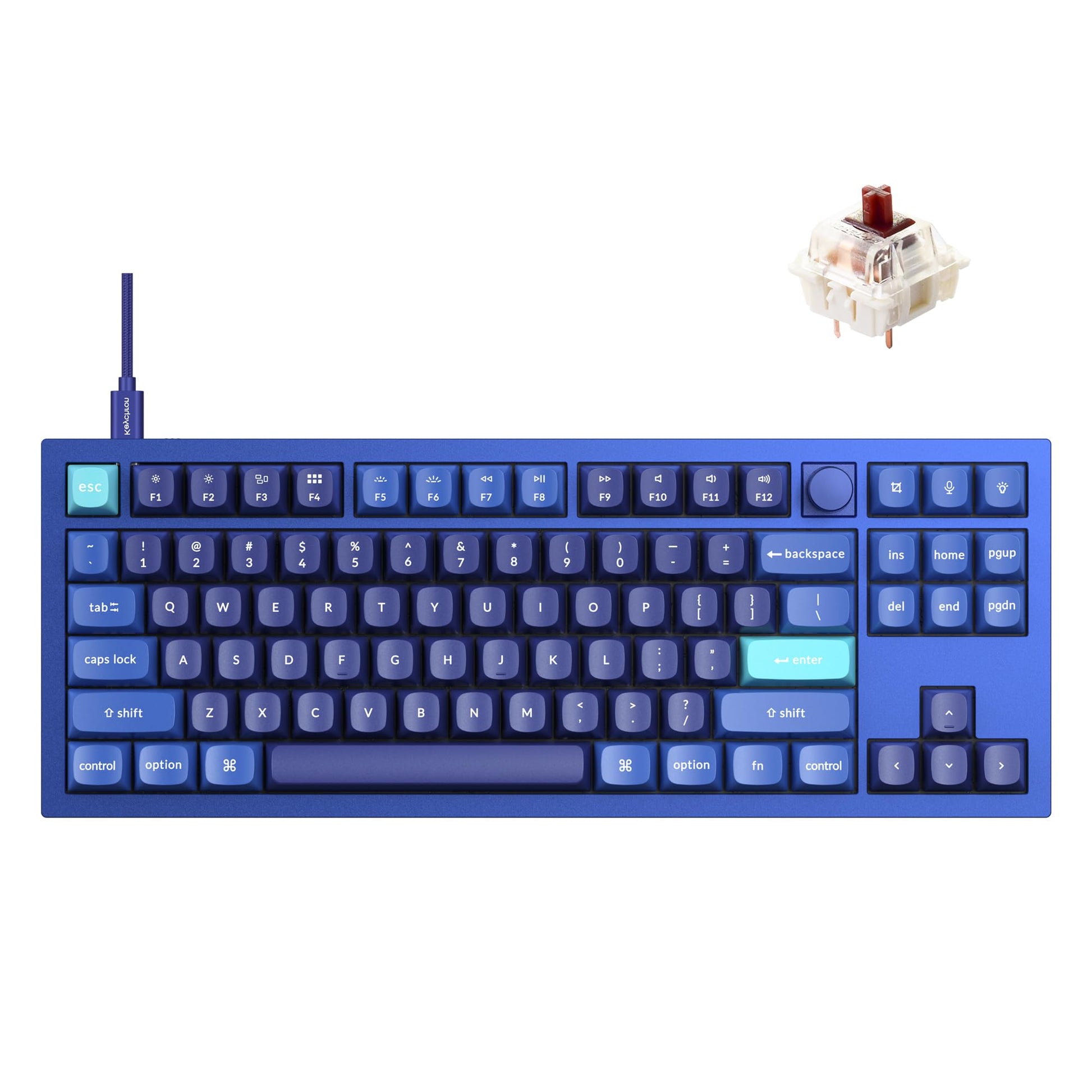 Keychron Q3 Wired Custom Mechanical Keyboard Knob Version  TKL Tenkeyless QMK/VIA Programmable Macro with Hot-swappable Gateron G Pro Brown Switch Compatible with Mac Windows Linux (Blue)