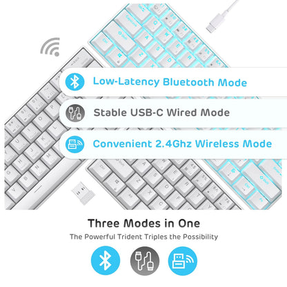 RK ROYAL KLUDGE RK61 Wireless 60% Mechanical Gaming Keyboard, Hot Swappable Blue Switch, Bluetooth, White