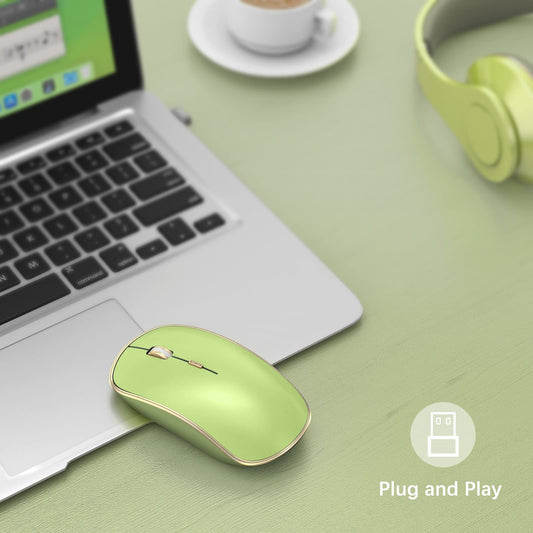 JOYACCESS Wireless Silent Mouse - 2.4G Portable USB Mouse, 5 Adjustable DPI, Light Green, Model J-2401