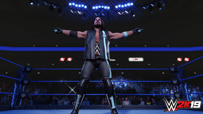 2K WWE 2K19 Video Game for Xbox One - Model 222090