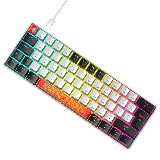 LexonElec 60% Wired RGB Gaming Keyboard 62 Keys Compact Mechanical Keyboard New Degsin Keycaps Detachable USB Type-C Blue Switch 18 LED Chroma Backlit for Typists and Gamers-White/Black
