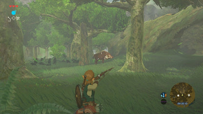 Nintendo The Legend of Zelda: Breath of the Wild Special Edition - Wii U Model HACRAAAAA