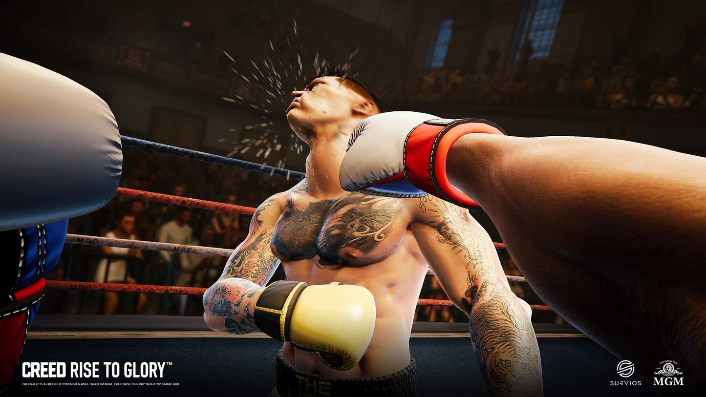 Perp Games Creed: Rise to Glory for PSVR (PS4) - Action-Packed VR Sports Game, Model PG000480
