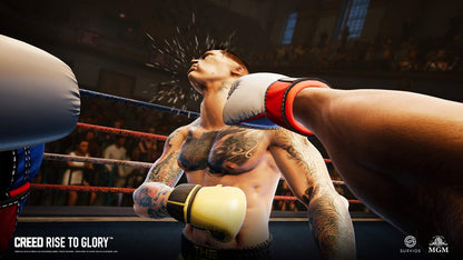 Perp Games Creed: Rise to Glory for PSVR (PS4) - Action-Packed VR Sports Game, Model PG000480