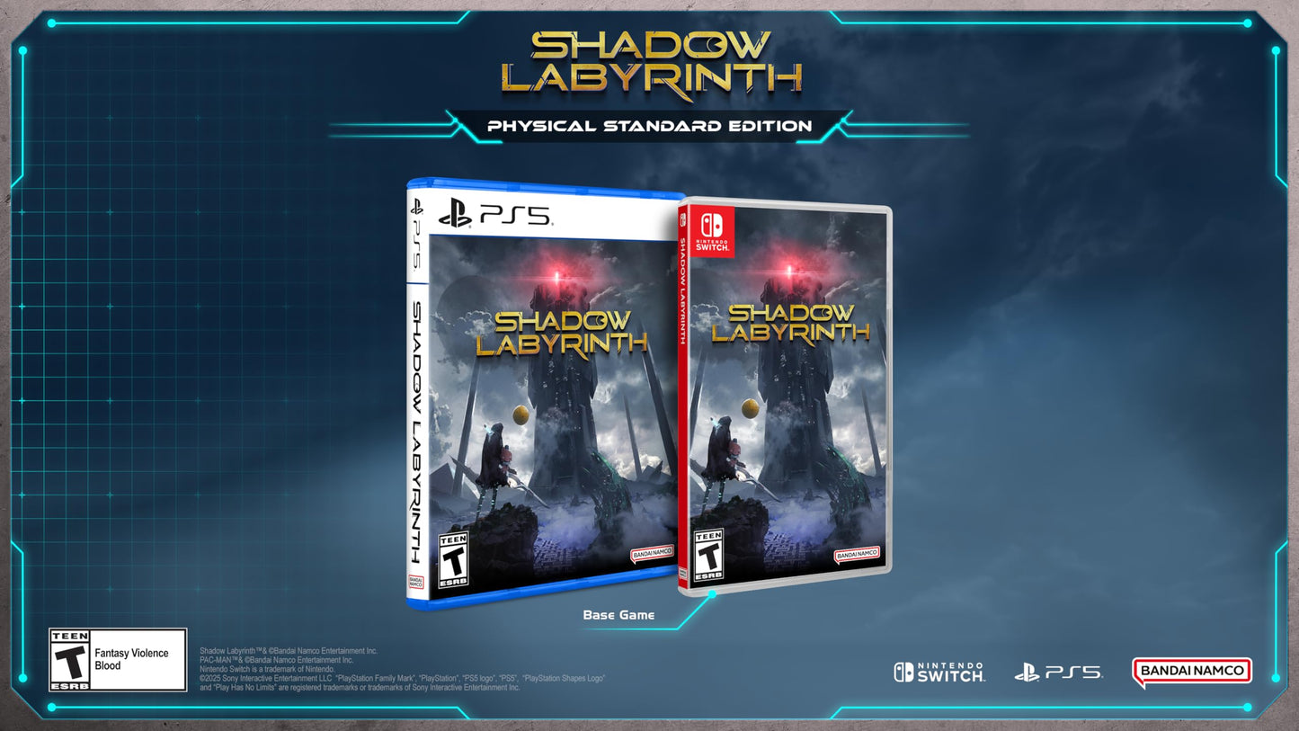 Bandai Namco Shadow Labyrinth Nintendo Switch Standard Edition - Model 55053
