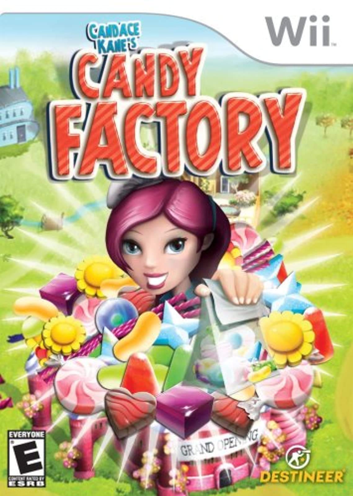 Destineer Candy Factory Game for Nintendo Wii - Model 212339, Fun for All Ages