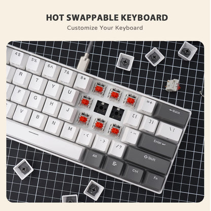 iLovBee i61 Mechanical Keyboard - 60% Wired Hot Swappable RGB, 61 Keys, Red Switch, Compact Design, Grey-White