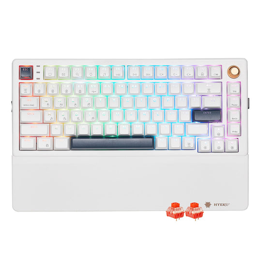 Hexgears 75% Wireless Mechanical Keyboard with Knob  Hot Swappable Creamy Keyboard with Wrist Rest  Pre-lubed Linear Switches  2.4GHz/Type-C/BT5.0  RGB Backlit Gaming Keyboards for Win/Mac (White)