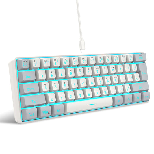 Snpurdiri 60% Wired Gaming Keyboard  61 Keys RGB Backlit Small Gaming Keyboard for PC/Mac Gamer  Typist  Tpartyl  Easy to Carry on Business Trip(Grey-White)