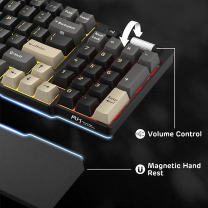 RK ROYAL KLUDGE RK96 90% Wireless Mechanical Keyboard - RGB, Hot Swappable, Linear Viridian Switch, Eclipse Black, Volume Control, Massive Battery