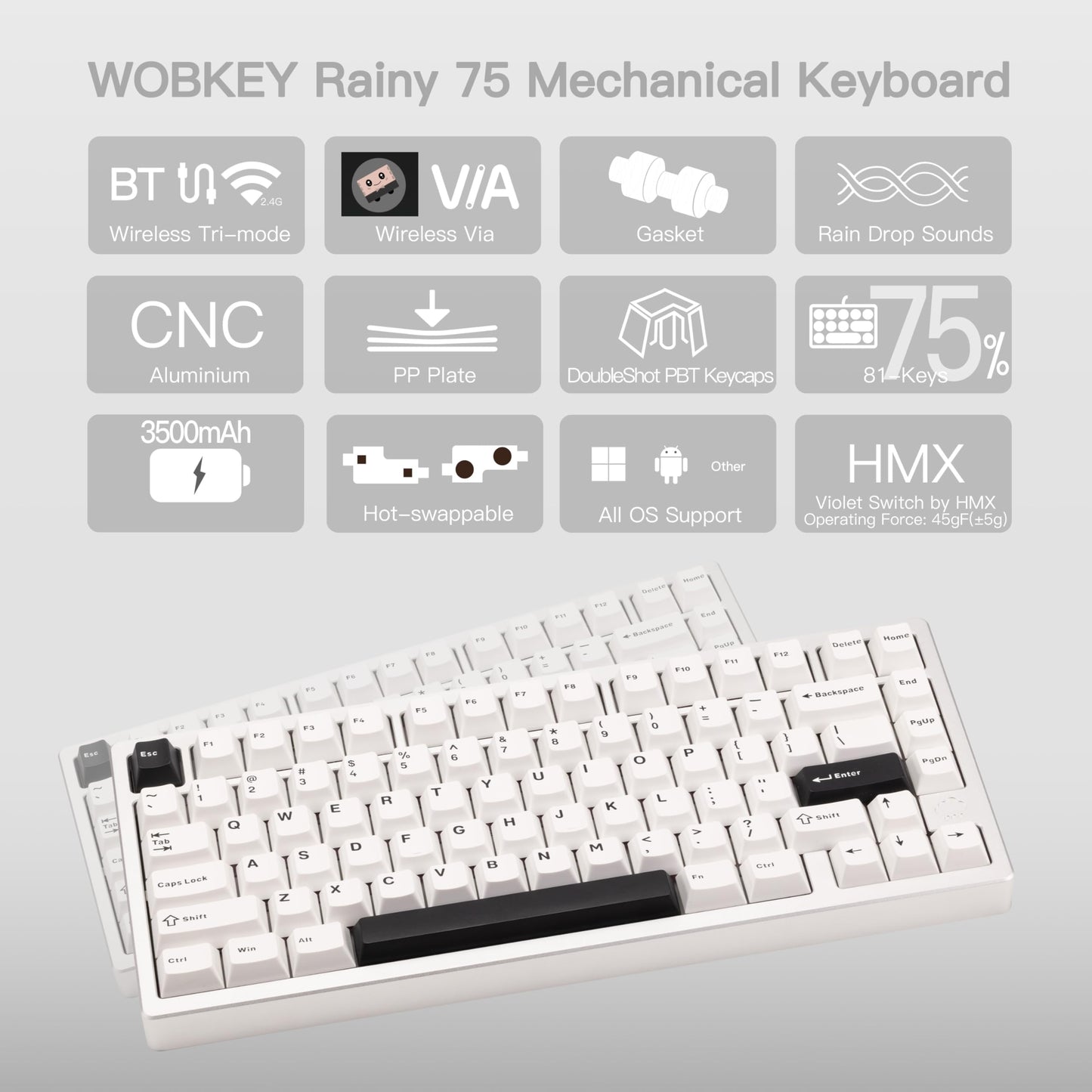 KEEBMONKEY Mechanical Keyboard - Rainy 75, Triple-Mode Connectivity, Violet Switch, Lite - Silver