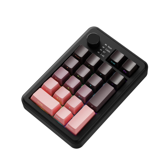 EWEADN NK20 Wireless Retro Mechanical Numpad with Knob  Bluetooth/2.4GHz/USB-C Connect with RGB Backlight Hot Swappable Number Pad  20-Key Rechargeable External Num Pad for Win  Mac  Black Berry Pink