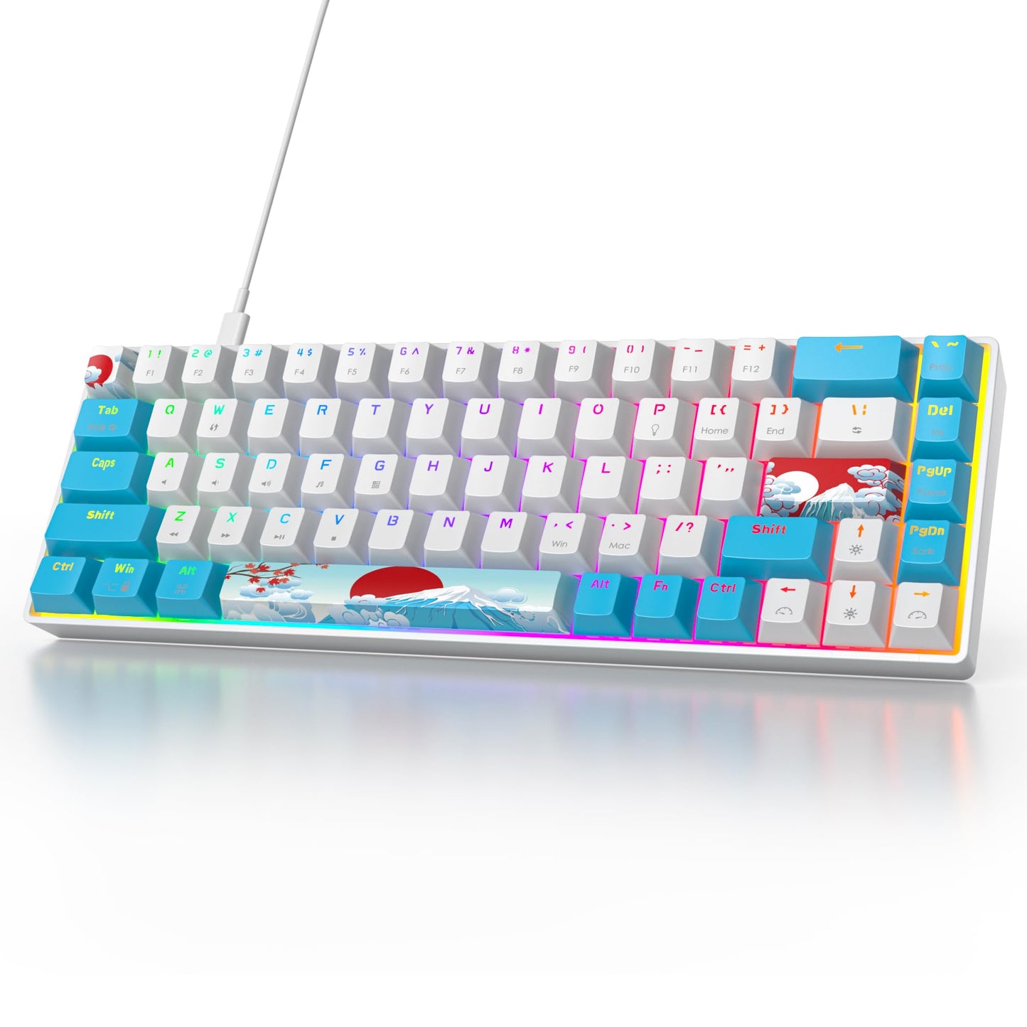 Owpkeenthy Portable 60% Mechanical Gaming Keyboard  Ultra Compact RGB Wired 65 Percent Mini Office Keyboard Backlit with Red Switch for PC/PS5/XBOX(Blue/ 68 Red Switch)