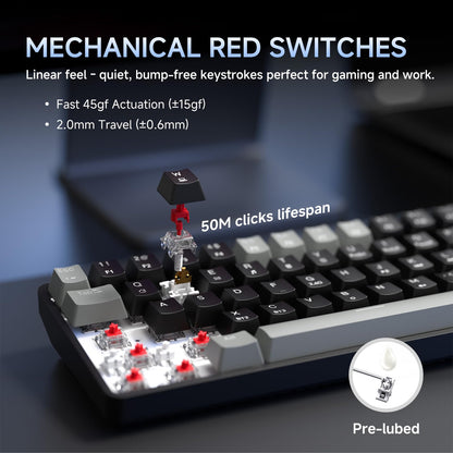 DIERYA DK68 Wireless Mechanical Gaming Keyboard, 60% Compact, RGB Backlit, Quiet Red Switch, Grey/Black, Bluetooth/2.4GHz/USB-C