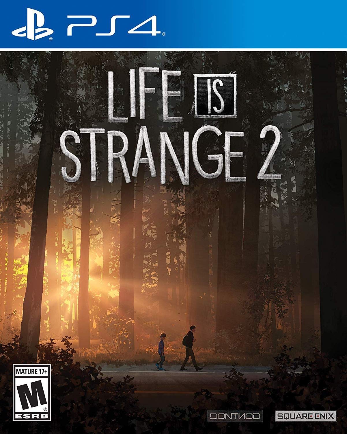 Square Enix Life is Strange 2 - PlayStation 4 Game, Model 92351, Engaging Narrative Adventure