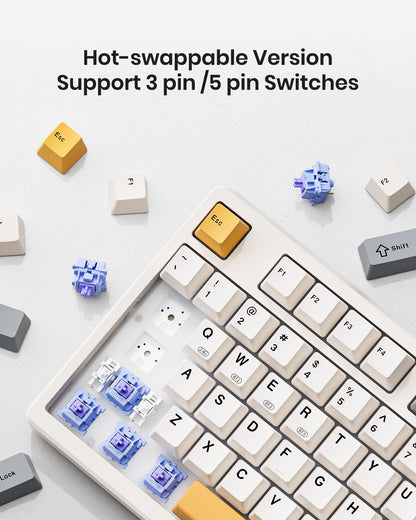 Kisnt Wireless Mechanical Keyboard KN85, Gasket Mounted, Bluetooth/2.4GHz/USB-C, RGB Backlit, 75% Compact, Retro Beige, Linear Switch