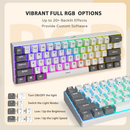 iLovBee i61 Mechanical Keyboard - 60% Wired Hot Swappable RGB, 61 Keys, Red Switch, Compact Design, Grey-White