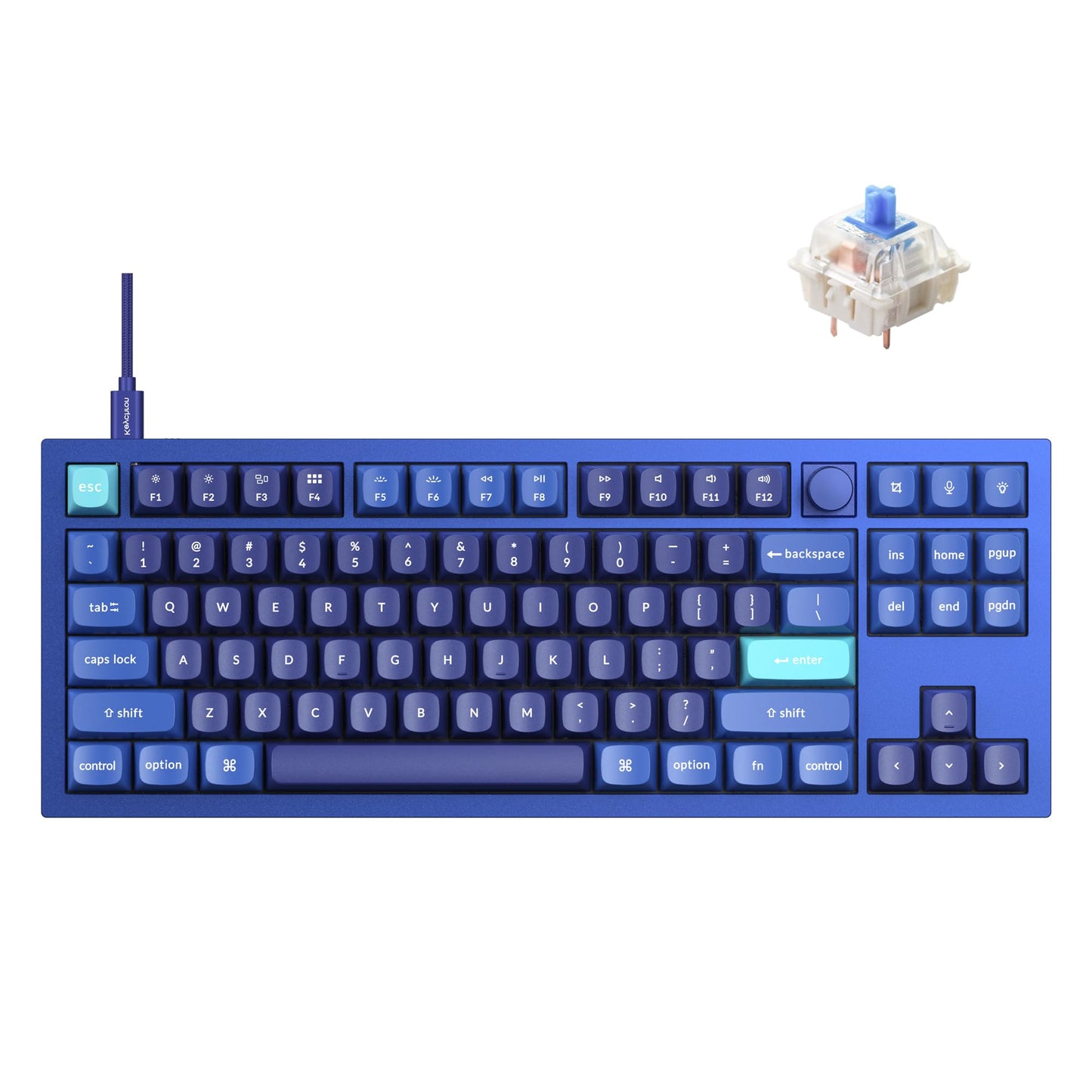 Keychron Q3 Wired Custom Mechanical Keyboard Knob Version  TKL Tenkeyless QMK/VIA Programmable Macro with Hot-swappable Gateron G Pro Blue Switch Double Gasket Compatible with Mac Windows Linux (Blue)
