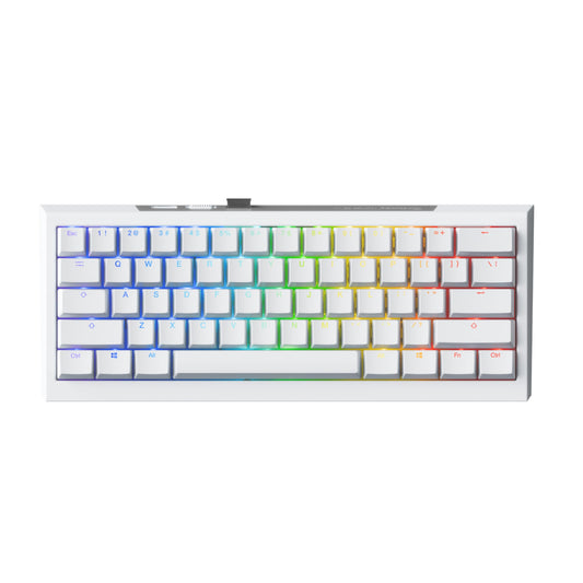 Ducky One X Mini Wireless 60% Inductive Keyboard: Tri-Mode  Rapid control button  Linear Inductive Switches  Gasket-Mount Quack Mechanics+ 7-Layer Dampening  High-Density PBT Doubleshot Keycaps  US  White