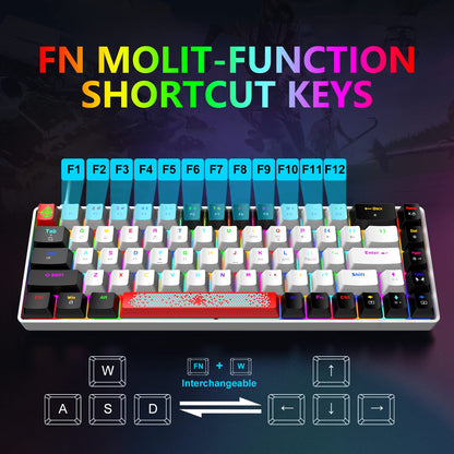 FELICON 60% Wired Mechanical Keyboard, RGB Backlight, Compact 68 Keys, Anti-Ghost, Type-C, White Black & Blue Switch