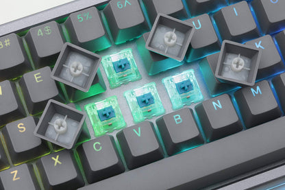 DROP ALT High-Profile Mechanical Keyboard - 65% (67 Keys), Hot-Swap, RGB LED, Cherry MX Blue, Gray, Model MDX-31828-5